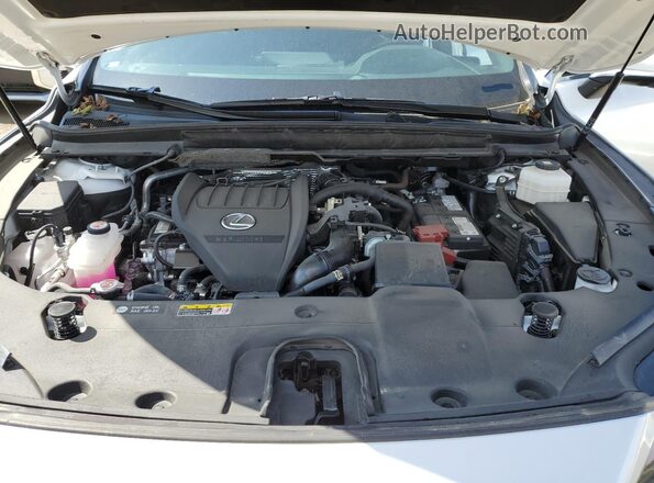 2T2BAMBA6RC043839 2024 LEXUS RX White Widok komory silnika