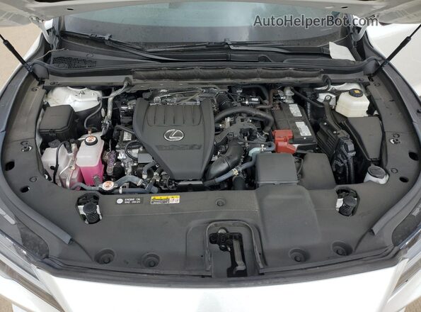 2T2BAMBA8RC024550 2024 LEXUS RX White Widok wnętrza z tyłu