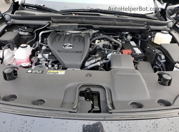 2T2BAMCA0SC106843 2025 LEXUS RX Black Vista del compartimento del motor