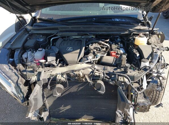 2T2BAMCA2SC093741 2025 LEXUS RX 350 Black Вид ззаду