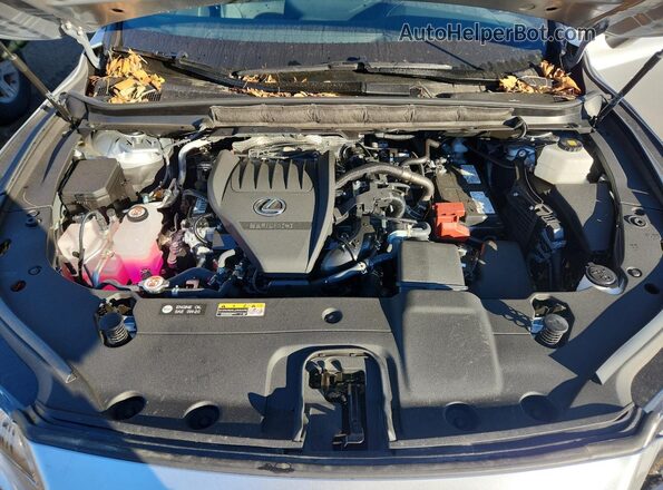 2T2BAMCA4SC108658 2025 LEXUS RX Silver Vista interior trasera
