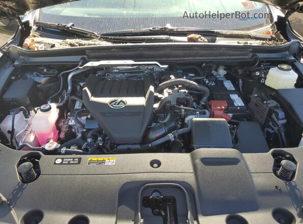 2T2BAMCA5SC107986 2025 LEXUS RX Black Vista del compartimento del motor