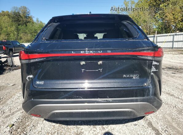 2T2BAMCA5SC107986 2025 LEXUS RX Black Vista trasera