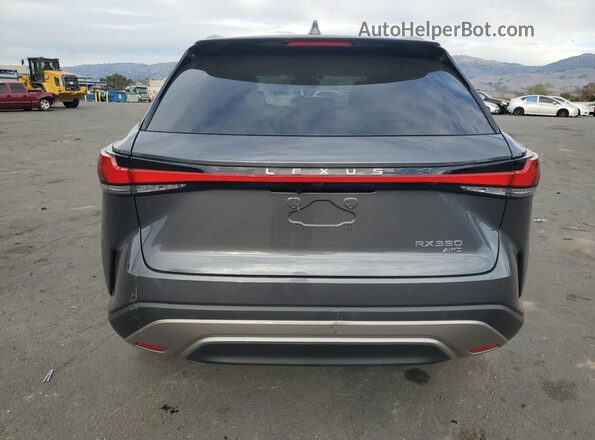 2T2BAMCA6RC040423 2024 LEXUS RX Gray Вид ззаду