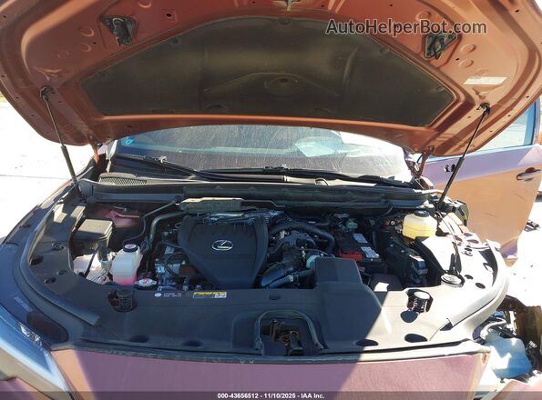 2T2BAMCA9RC062724 2024 LEXUS RX 350 Orange უკანა ხედი