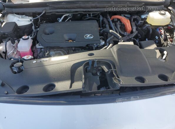 2T2BBMCA4SC081426 2025 LEXUS RX White Widok komory silnika