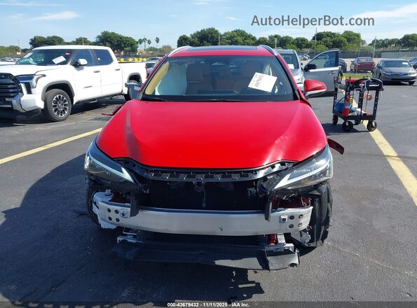 2T2GDCAZ0SC029553 2025 LEXUS NX 250 Красный Вид задней части салона