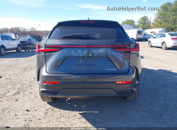 2T2GDCAZ1PC003860 2023 LEXUS NX 250 Серый 