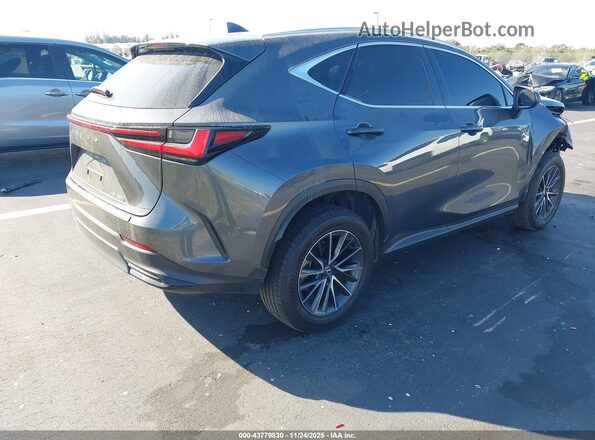 2T2GDCAZ1SC018920 2025 LEXUS NX 250 Серый Задняя правая четверть