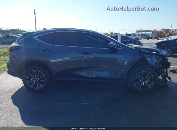 2T2GDCAZ1SC018920 2025 LEXUS NX 250 Серый Панорамный вид салона 360°