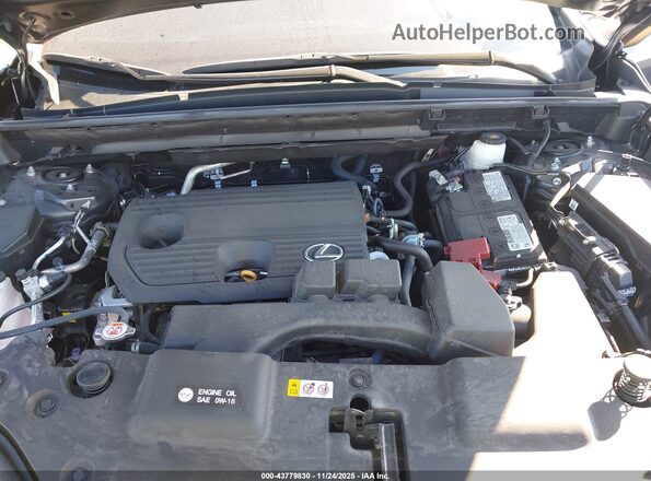 2T2GDCAZ1SC018920 2025 LEXUS NX 250 Серый Вид сзади