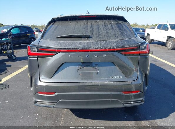 2T2GDCAZ1SC018920 2025 LEXUS NX 250 Серый 