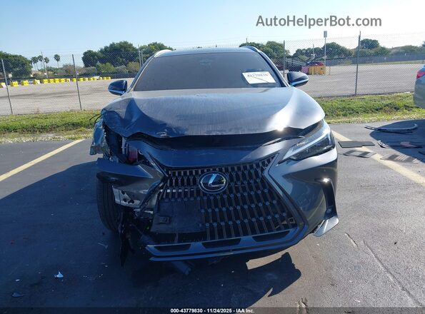 2T2GDCAZ1SC018920 2025 LEXUS NX 250 Серый Вид задней части салона