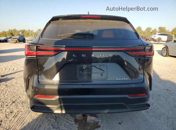 2T2GDCAZ2RC008648 2024 LEXUS NX Black Вид ззаду