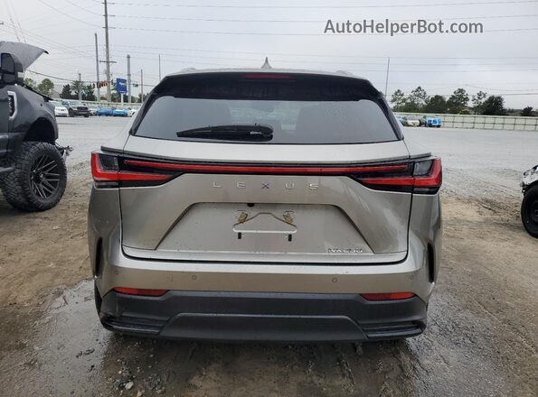 2T2GDCAZ2SC017727 2025 LEXUS NX Silver Rear view