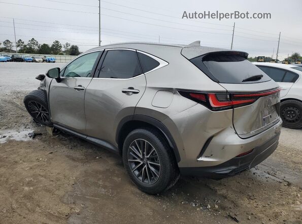 2T2GDCAZ2SC017727 2025 LEXUS NX Silver Rear left