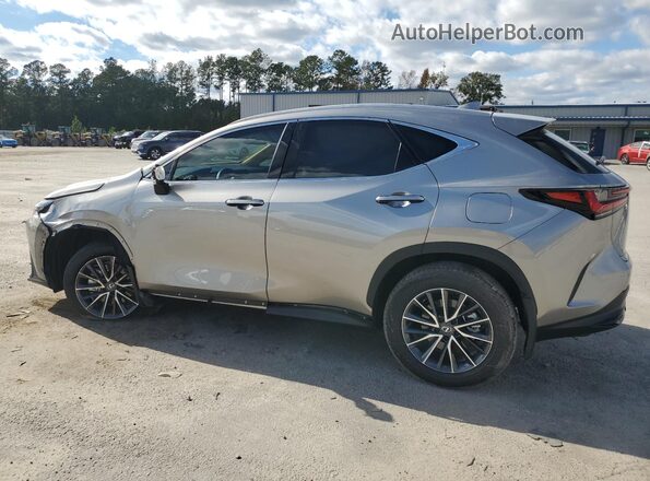2T2GDCAZ2SC018358 2025 LEXUS NX Gray უკანა მარცხენა