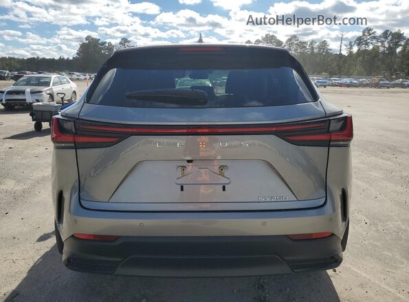 2T2GDCAZ2SC018358 2025 LEXUS NX Gray უკანა ხედი