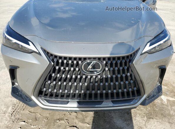2T2GDCAZ2SC018358 2025 LEXUS NX Gray ძრავის განყოფილების ხედი