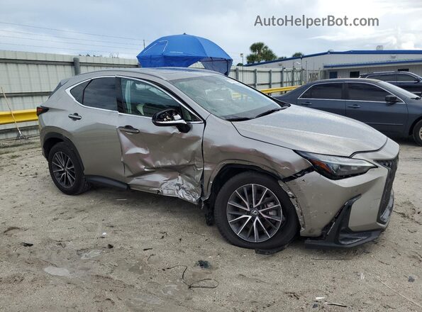 2T2GDCAZ6RC011391 2024 LEXUS NX Gray Delantero derecho
