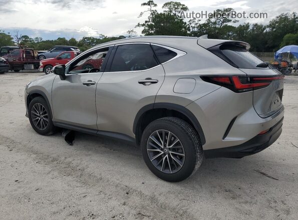 2T2GDCAZ6RC011391 2024 LEXUS NX Gray Trasero izquierdo