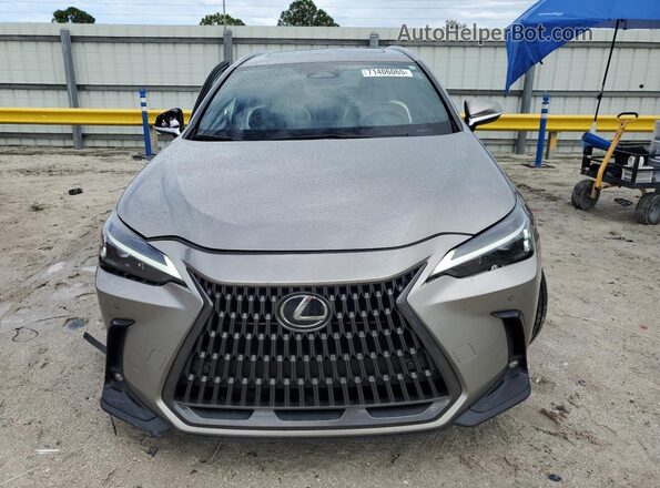 2T2GDCAZ6RC011391 2024 LEXUS NX Gray Vista frontal