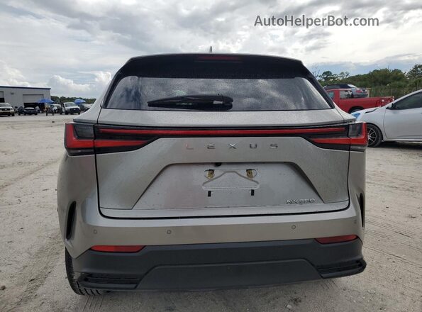 2T2GDCAZ6RC011391 2024 LEXUS NX Gray Vista trasera