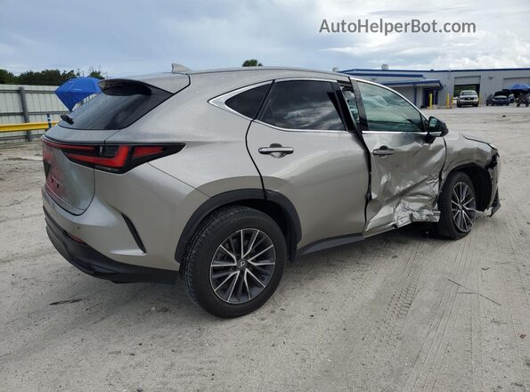 2T2GDCAZ6RC011391 2024 LEXUS NX Gray Trasero derecho