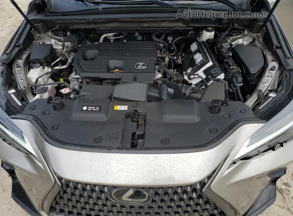2T2GDCAZ6RC011391 2024 LEXUS NX Gray Vista del compartimento del motor