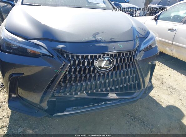 2T2GDCAZ7SC028917 2025 LEXUS NX 250 Gray Դիմացի տեսք