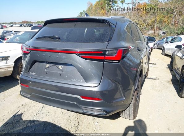 2T2GDCAZ7SC028917 2025 LEXUS NX 250 Gray Հետևի աջ