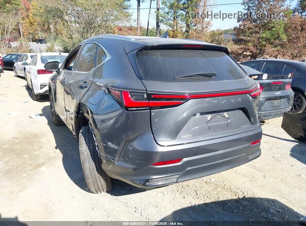 2T2GDCAZ7SC028917 2025 LEXUS NX 250 Gray Հետևի ձախ