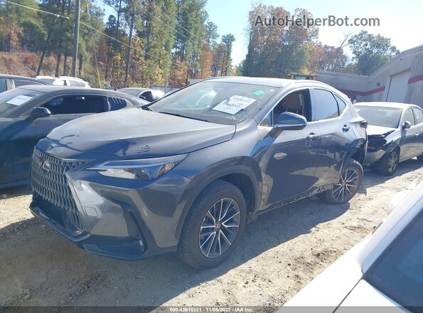 2T2GDCAZ7SC028917 2025 LEXUS NX 250 Gray Սալոնի 360 աստիճան տեսք