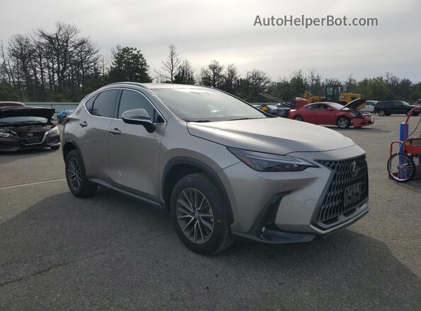 2T2GGCEZ0NC005775 2022 LEXUS NX Silver Առջևի աջ