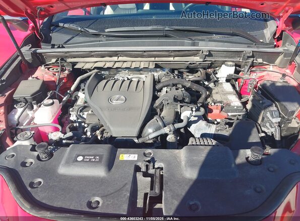 2T2GGCEZ0RC045294 2024 LEXUS NX 350 Red Widok z tyłu