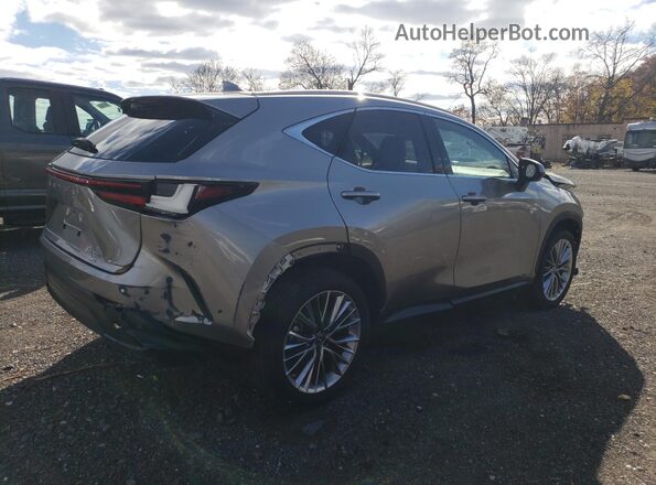 2T2GGCEZ0SC079015 2025 LEXUS NX Gray Rear right