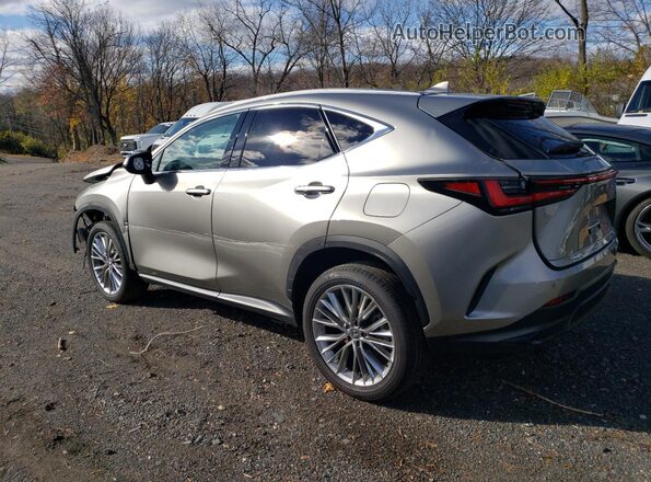 2T2GGCEZ0SC079015 2025 LEXUS NX Gray Rear left