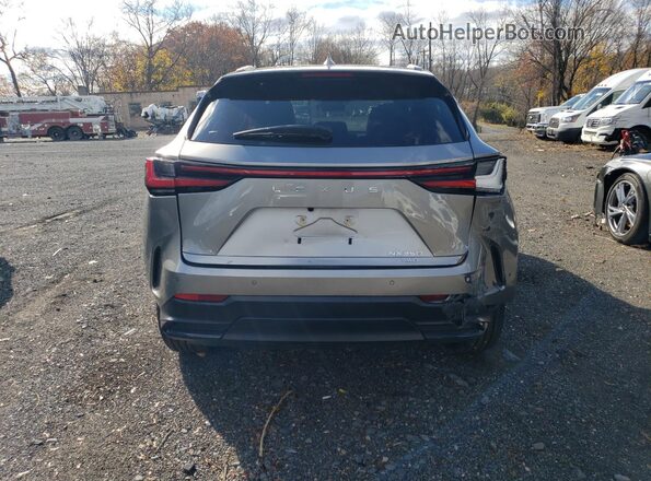 2T2GGCEZ0SC079015 2025 LEXUS NX Gray Rear view