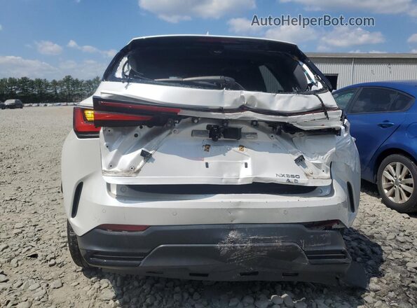 2T2GGCEZ2RC032515 2024 LEXUS NX White Rear view
