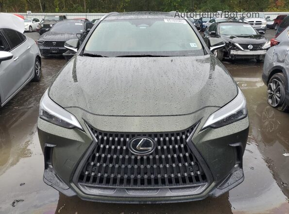 2T2GGCEZ2RC054773 2024 LEXUS NX Green წინა ხედი