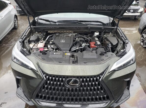 2T2GGCEZ2RC054773 2024 LEXUS NX Green უკანა სალონის ხედი
