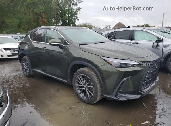 2T2GGCEZ2RC054773 2024 LEXUS NX Green წინა მარჯვენა