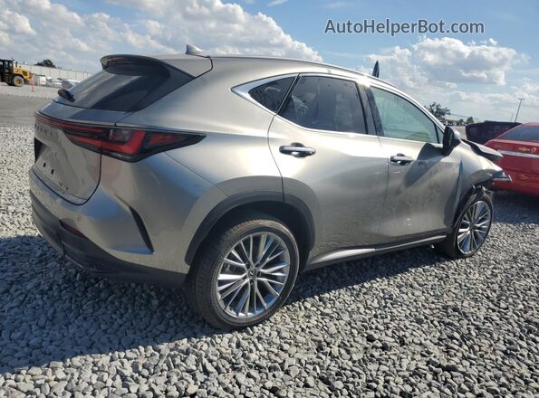 2T2GGCEZ2SC074740 2025 LEXUS NX Silver უკანა მარჯვენა