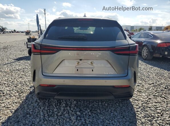 2T2GGCEZ2SC074740 2025 LEXUS NX Silver უკანა ხედი