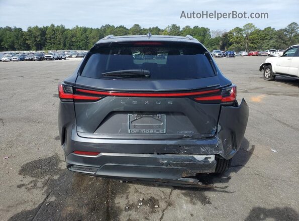 2T2GGCEZ4PC030651 2023 LEXUS NX Gray Widok z tyłu