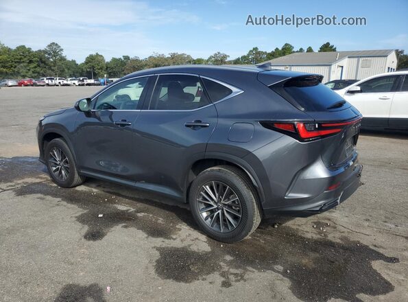 2T2GGCEZ4PC030651 2023 LEXUS NX Gray Tył lewy