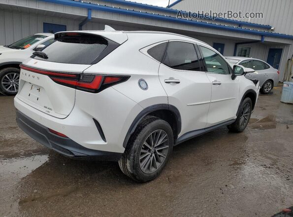 2T2GGCEZ5NC006517 2022 LEXUS NX White Rear right