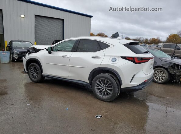 2T2GGCEZ5NC006517 2022 LEXUS NX White Rear left