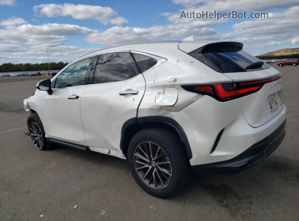 2T2GGCEZ5PC019884 2023 LEXUS NX White Tył lewy