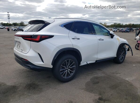 2T2GGCEZ5PC019884 2023 LEXUS NX White Tył prawy